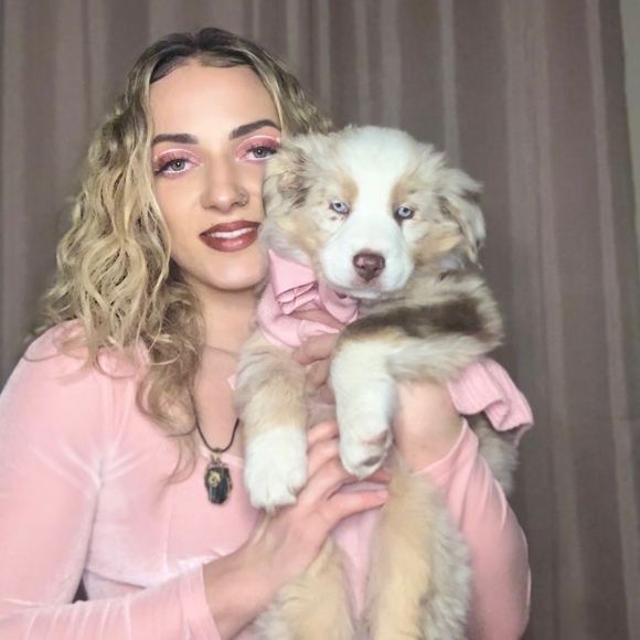 Meet your Posher, Anna - Picture 1 of 1